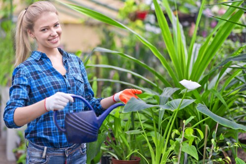 Gardener pruning a hedge in a residential garden in Harrow